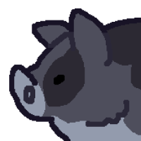 ANI-5255: Domestic Hog Kunekune (M)