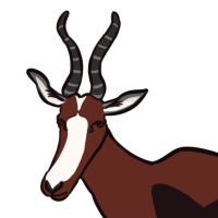 Thumbnail image for ANI-5264: Bontebok (M)