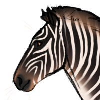 Thumbnail for ANI-5265: Boipelo