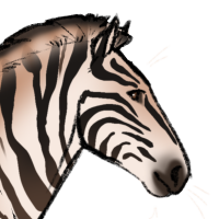 Thumbnail for ANI-5266: Thabang