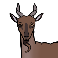 Thumbnail image for ANI-5270: Markhor (F)