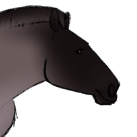 Thumbnail of ANI-5273: Catalina