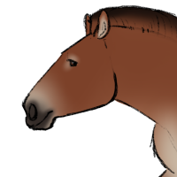 Thumbnail of ANI-5274: Guillermo