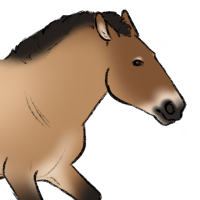 Thumbnail for ANI-5277: Odtsetseg