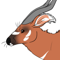 Thumbnail for ANI-5284: Nelia (T. e. eurycerus)