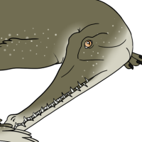 Thumbnail for ANI-5286: Rani