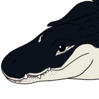 Thumbnail for ANI-5287: Big Gus