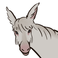 Thumbnail for ANI-5301: Albino Donkey (F)