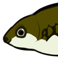 Thumbnail for ANI-5307: Monterrey Platyfish (F)