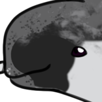 Thumbnail for ANI-5318: Adam