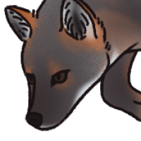 Thumbnail for ANI-5324: Stain