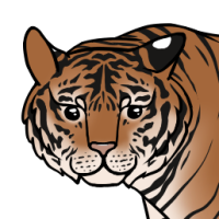 Thumbnail for ANI-5332: Siberian Tiger (F)