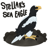 ANI-428: Stella - Steller's Sea Eagle [F]