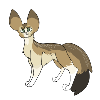 ANI-460: Fennec Fox (F)