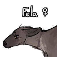 Thumbnail for ANI-478: Fela