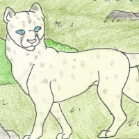 Thumbnail for ANI-509: Leucistic Cheetah (M)