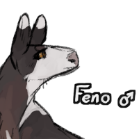 Thumbnail for ANI-557: Feno