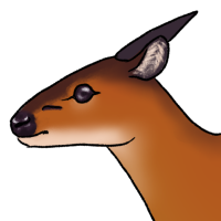 Thumbnail image for ANI-5335: Diva