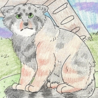 Thumbnail for ANI-573: Pallas Cat (F)