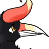 Thumbnail for ANI-590: Rhinoceros Hornbill (M)