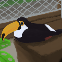 Thumbnail for ANI-592: Toupac (Toco Toucan)