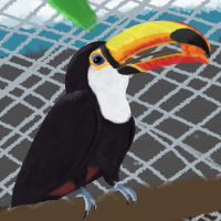 Thumbnail for ANI-593: Ripley (Toco Toucan)