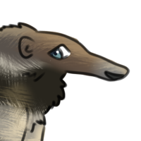 Thumbnail for ANI-602: Giant Anteater (M)