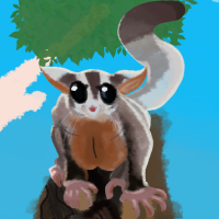 Thumbnail for ANI-603: Tinni (Sugar Glider)