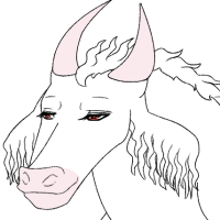 Thumbnail for ANI-614: Albino African Forest Buffalo (F)