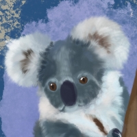 Thumbnail for ANI-615: Koala (M)