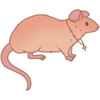 Thumbnail for ANI-633: Fancy Rat Adopt 5