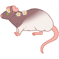 Thumbnail for ANI-634: Winnie - Fancy Rat (F)