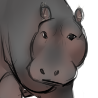 Thumbnail for ANI-639: Hippopotamus (M)