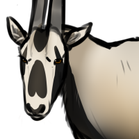 Thumbnail for ANI-641: Arabian Oryx (F)