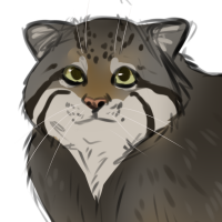 Thumbnail for ANI-642: Pallas Cat (M)