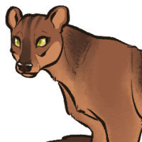 Thumbnail for ANI-650: Fossa (M)