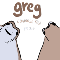 Thumbnail for ANI-684: Greg the cownose ray (M)