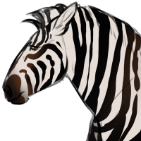 Thumbnail for ANI-699: Plains Zebra (M)