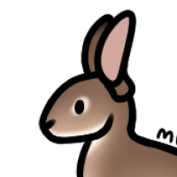 Thumbnail for ANI-717: European Rabbit (M)