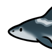 Thumbnail for ANI-727: Bull Shark (F)