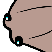 Thumbnail for ANI-734: Egg the cownose ray (M)