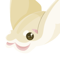 Thumbnail for ANI-735: Cownose Ray (F)