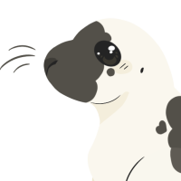 Thumbnail for ANI-755: Harp Seal (M)