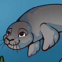 Thumbnail for ANI-778: Hawaiian Monk Seal (M)