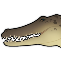 Thumbnail for ANI-820: Saltwater Crocodile (M)