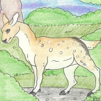 Thumbnail for ANI-825: Persian Fallow Deer (F)