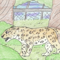 Thumbnail for ANI-861: African Leopard (F)