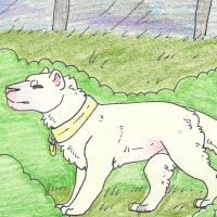 Thumbnail for ANI-897: Leucistic Albino Dire Wolf (M)