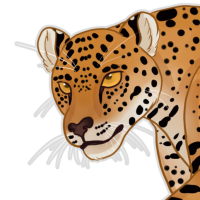 Thumbnail for ANI-933: Jaguar (M)