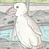 Thumbnail for ANI-935: Leucistic Galapagos Penguin (M)